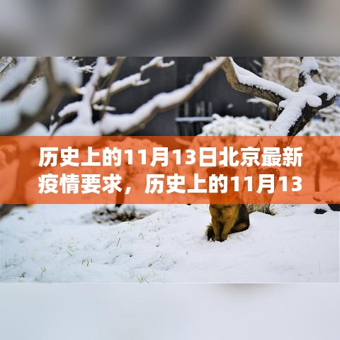 历史上的11月13日北京疫情要求及其影响深度分析，最新疫情要求下的北京防疫动态回顾与展望