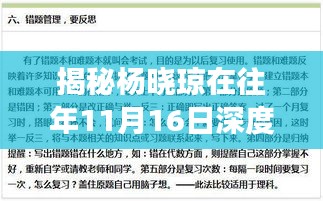 揭秘杨晓琼在往年11月16日深度解读三大要点，最新说事深度剖析回顾！