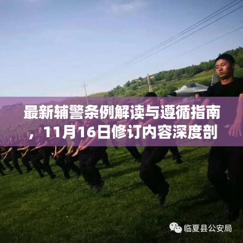 最新辅警条例解读与遵循指南，11月16日修订内容深度剖析