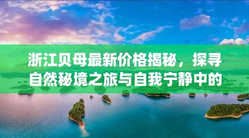 浙江贝母最新价格揭秘，探寻自然秘境之旅与自我宁静中的价格之谜