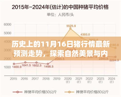 历史上的11月16日猪行情最新预测走势，探索自然美景与内心平静之旅