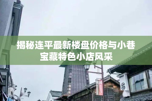 揭秘连平最新楼盘价格与小巷宝藏特色小店风采