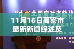 11月16日高密市最新新闻综述及不同观点分析