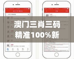 澳门三肖三码精准100%新华字典331期,稳固执行方案计划_为你版LDX11.7