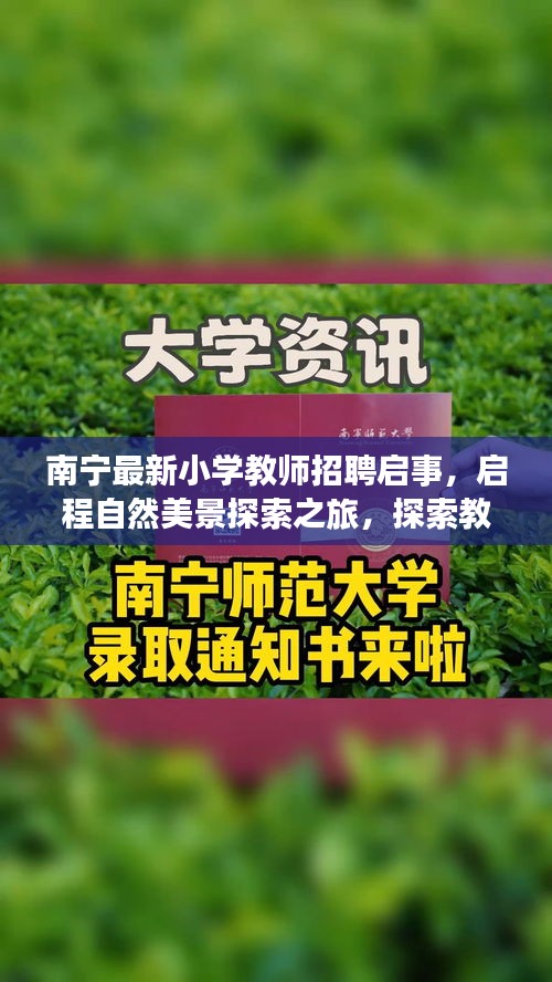 南宁最新小学教师招聘启事，启程自然美景探索之旅，探索教育之美与自然的魅力