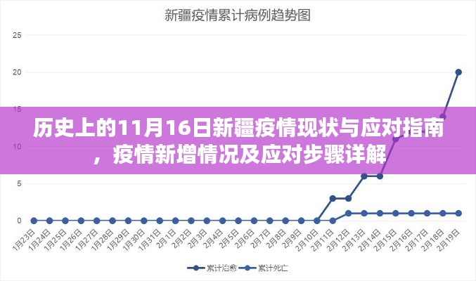 历史上的11月16日新疆疫情现状与应对指南，疫情新增情况及应对步骤详解