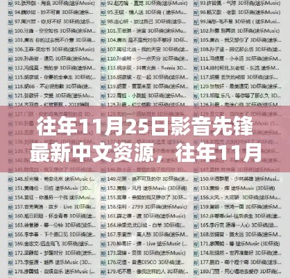 往年11月25日影音先锋中文资源深度解析与观点阐述，最新资源与阐述回顾