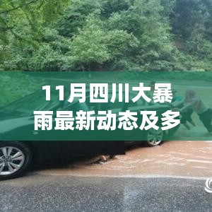 11月四川大暴雨最新动态及多方观点分析与个人立场阐述