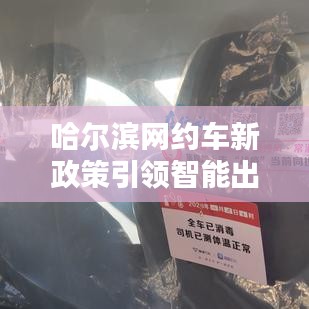 哈尔滨网约车新政策引领智能出行革命，前沿科技带来的便捷生活体验