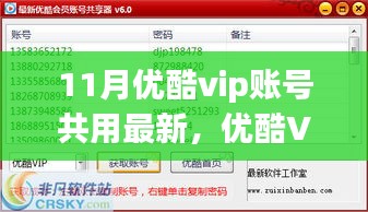 优酷VIP账号共享新纪元，科技魅力与智能生活的融合体验