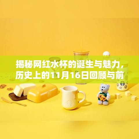 揭秘网红水杯的诞生与魅力，历史上的11月16日回顾与前瞻