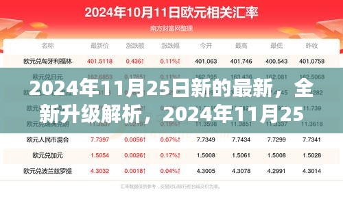 全新升级解析与全面评测，2024年11月25日最新产品亮点一览