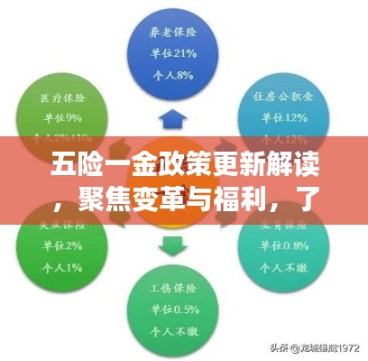 五险一金政策更新解读，聚焦变革与福利，了解最新政策动态