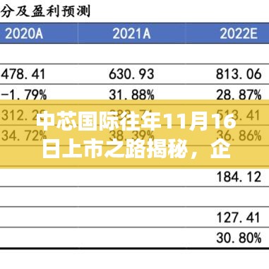 中芯国际往年11月16日上市之路揭秘，企业成功背后的驱动力探索