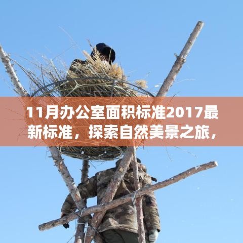 最新办公室面积标准下的自然美景探索与心灵迁徙之旅