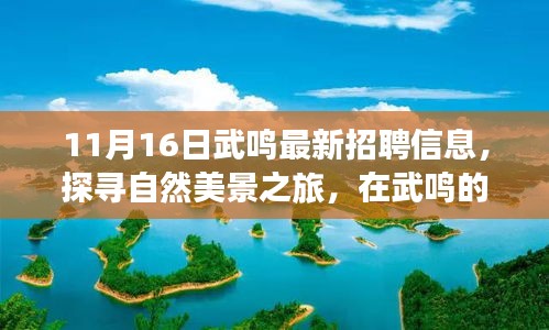 11月16日武鸣最新招聘信息，探寻自然美景之旅，在武鸣的宁静角落，寻找内心的平和与工作的喜悦