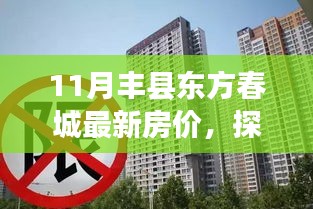 11月丰县东方春城房价揭秘，小巷特色小店与独特环境之旅