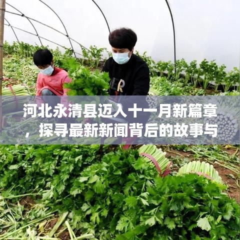 河北永清县迈入十一月新篇章，探寻最新新闻背后的故事与动态