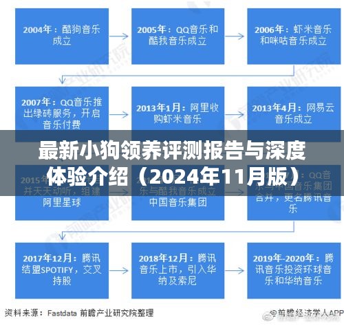 最新小狗领养评测报告与深度体验介绍（2024年11月版）