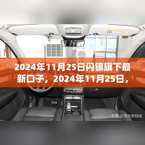 闪银新口子启航，学习变化引领自信成就之路（2024年11月25日）