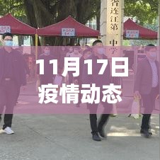 11月17日疫情动态更新，最新资讯与概览