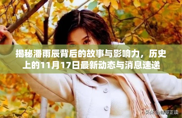 揭秘潘雨辰背后的故事与影响力，历史上的11月17日最新动态与消息速递