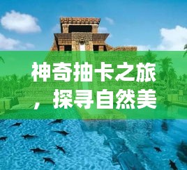 神奇抽卡之旅，探寻自然美景，寻找内心的平静——历史上的11月17日回顾与探寻