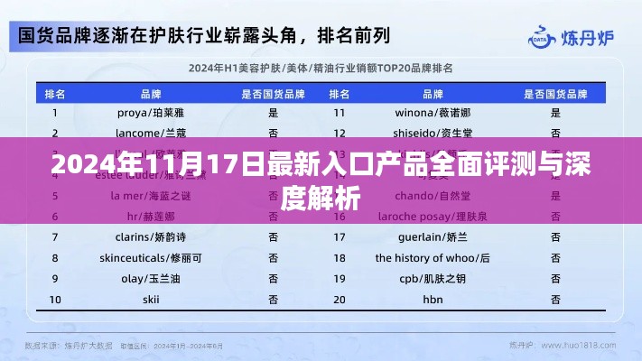 2024年11月17日最新入口产品全面评测与深度解析