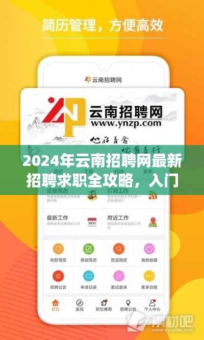 2024年云南招聘网最新招聘求职全攻略，入门到精通