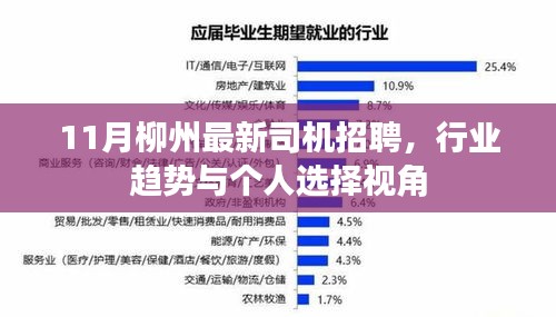 11月柳州最新司机招聘，行业趋势与个人选择视角