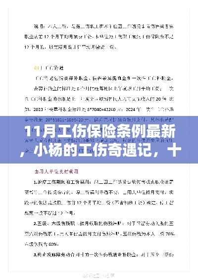 十一月工伤保险条例更新，小杨工伤奇遇记见证新温暖