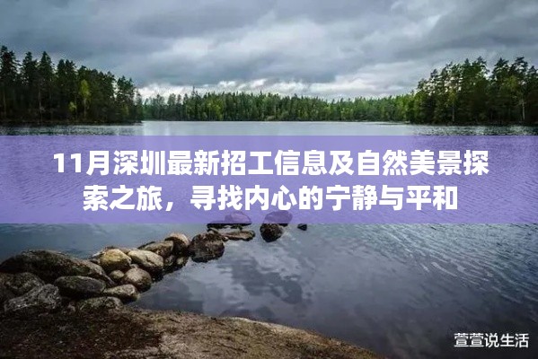 11月深圳最新招工信息及自然美景探索之旅，寻找内心的宁静与平和