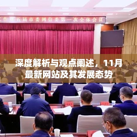 深度解析与观点阐述，11月最新网站及其发展态势