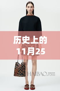 历史上的11月25日，最新款女装韩版的诞生与时尚发展之路