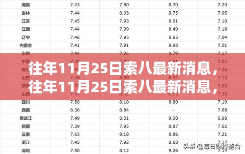 往年11月25日索八最新消息深度解析，正反影响及观点探讨