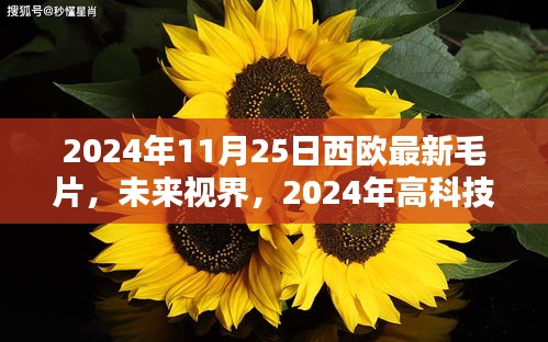 西欧最新高科技毛片引领未来视界，生活新纪元独家体验官独享的视觉盛宴（2024年）