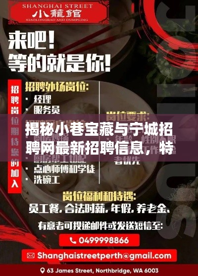 揭秘小巷宝藏与宁城招聘网最新招聘信息，特色小店与求职者的相遇日