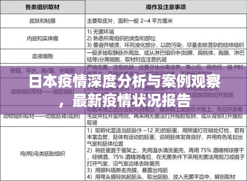 日本疫情深度分析与案例观察，最新疫情状况报告