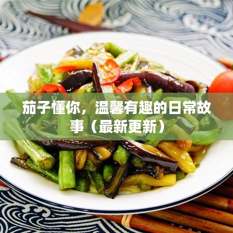 茄子懂你，温馨有趣的日常故事（最新更新）