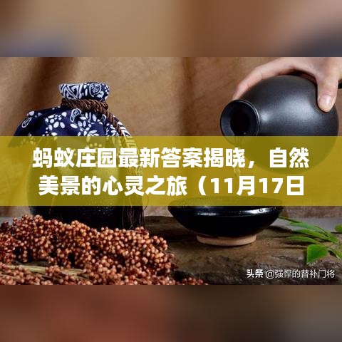 蚂蚁庄园最新答案揭晓，自然美景的心灵之旅（11月17日今日答案）