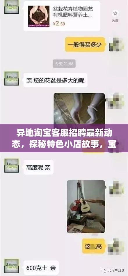 异地淘宝客服招聘最新动态，探秘特色小店故事，宝藏藏于喧嚣之外的小巷深处。