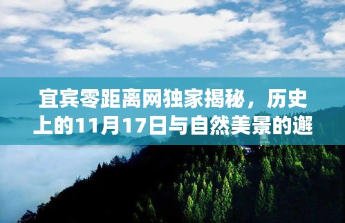 宜宾零距离网独家揭秘，历史上的11月17日与自然美景的邂逅时刻