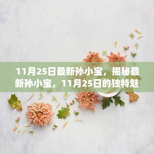 揭秘孙小宝，11月25日的独特魅力与成长故事揭秘