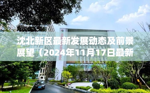 沈北新区最新发展动态及前景展望（2024年11月17日最新资讯）