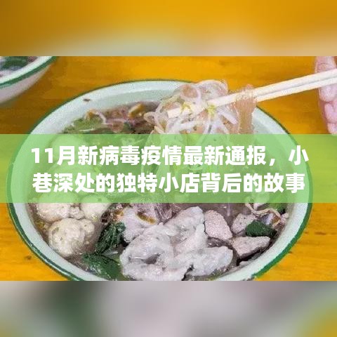 11月新病毒疫情最新通报，小巷深处的独特小店背后的故事