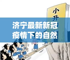 济宁最新新冠疫情下的自然探索之旅，寻找内心平静的奇妙冒险之旅