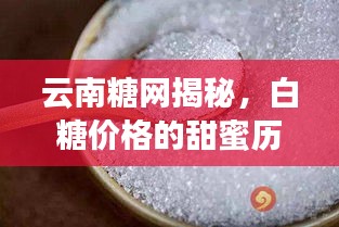 云南糖网揭秘，白糖价格的甜蜜历史与最新市场动态