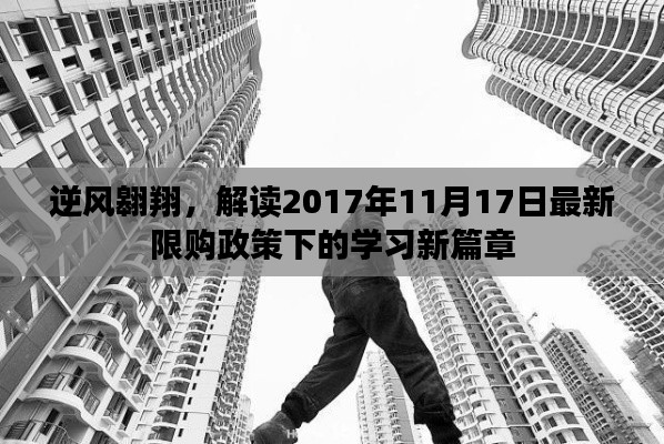 逆风翱翔，解读2017年11月17日最新限购政策下的学习新篇章