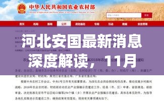 河北安国最新消息深度解读，11月17日全面更新报告