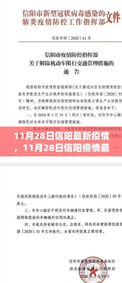 信阳疫情最新动态及防控进展，11月28日疫情报告与日常生活指南